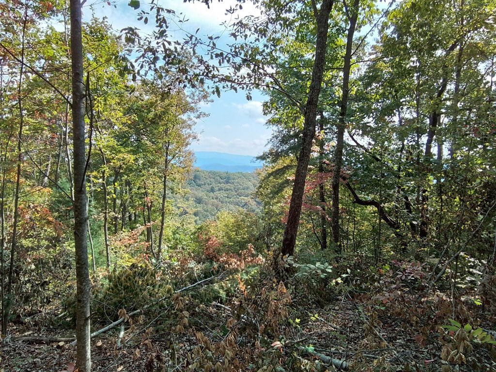 End Of Tanglewood Ridge Murphy, NC 28906 - Photo 3 of 38