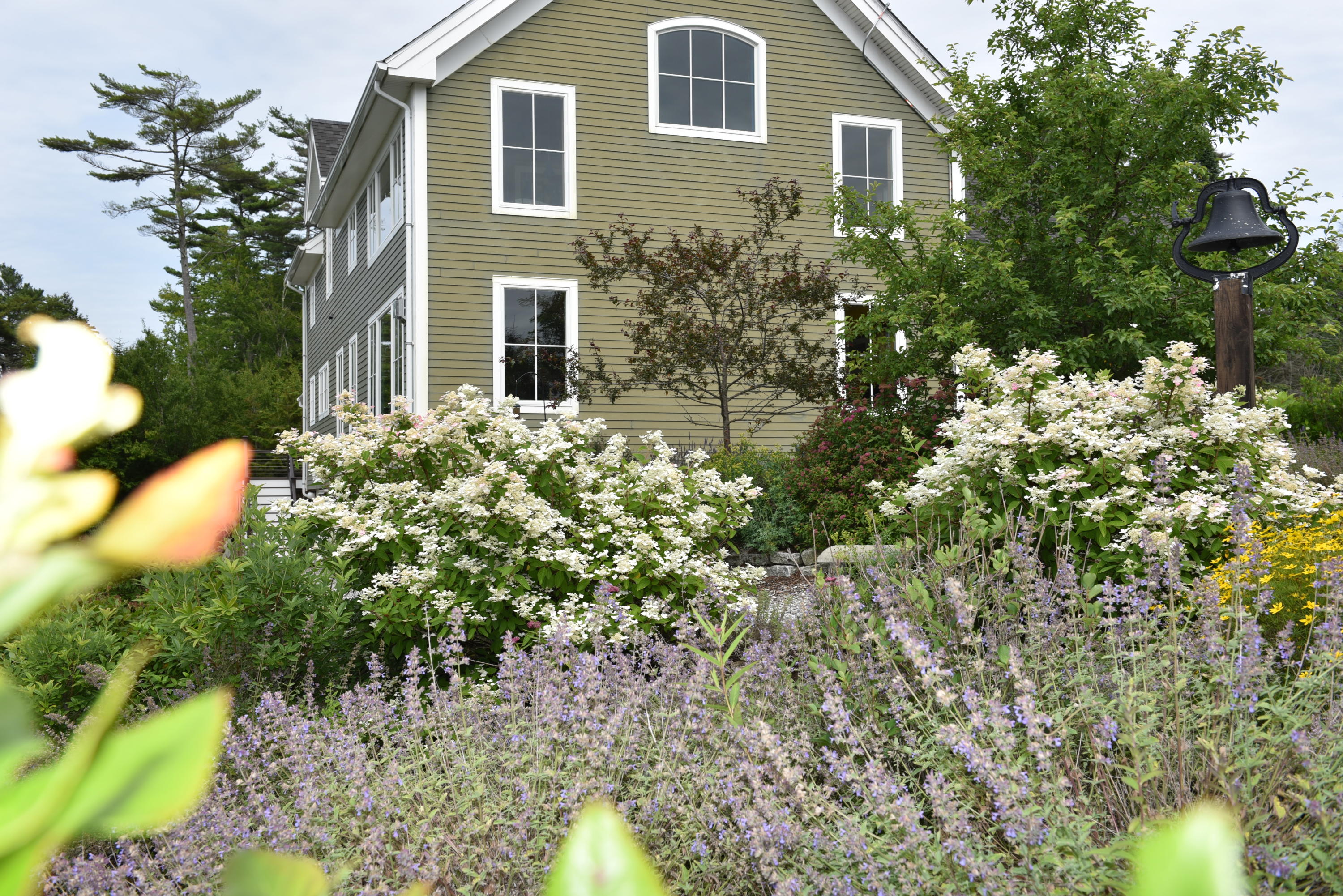 43 Merganser Cove Road Orrs Island, ME 04066 - Photo 12 of 62 DSC_0645