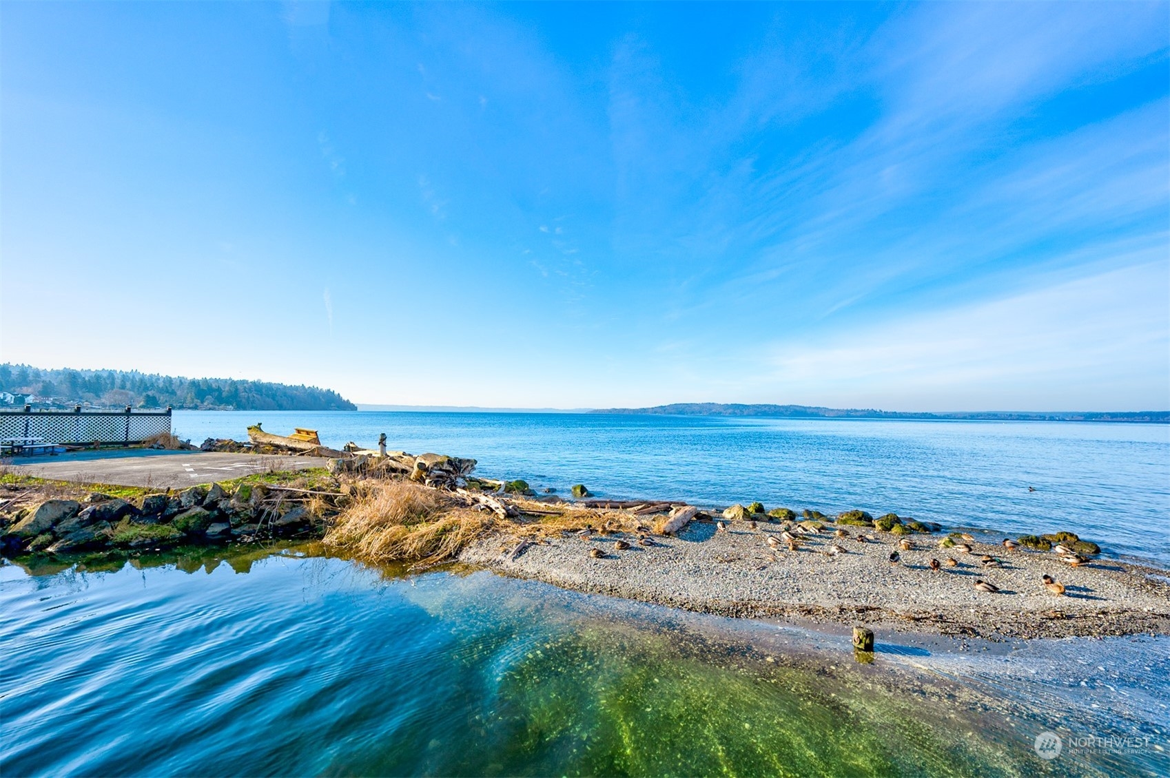 1865 Southwest Miller Creek Road Burien, WA 98166 - Photo 12 of 38