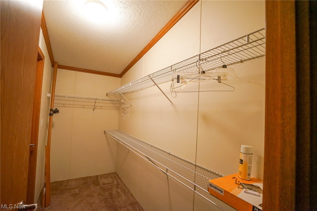 37632 Sheepskin Ridge Road Lower Salem, OH 45745 - Photo 22 of 30 Walk in closet featuring carpet flooring