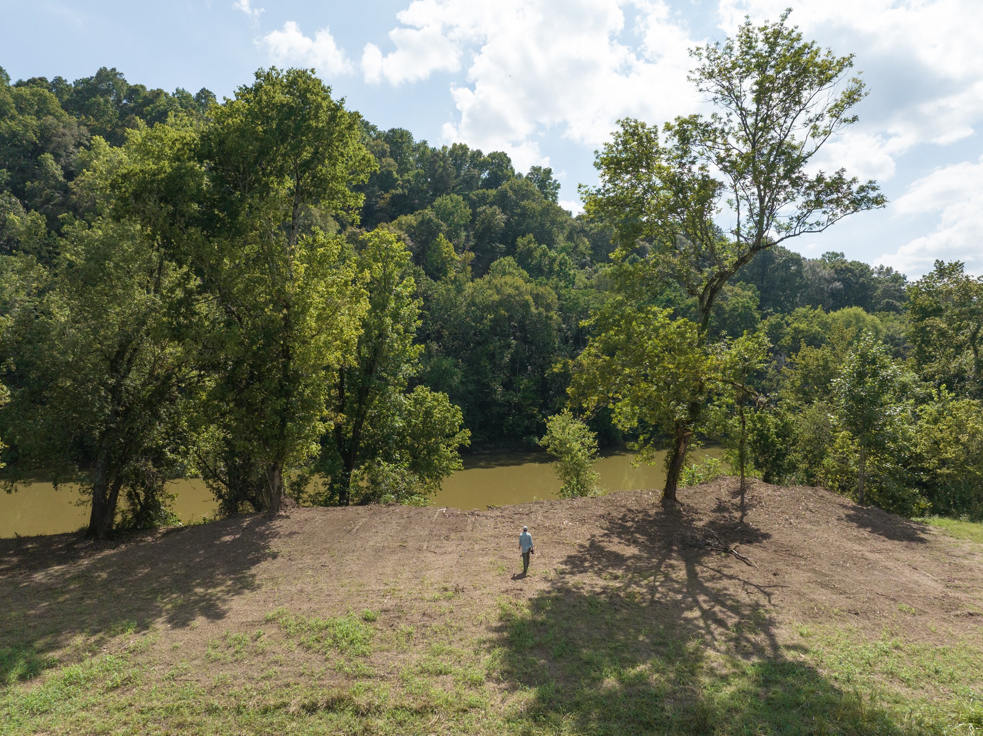 1321 Maddox Road Centerville, TN 37033 - Photo 11 of 70 a view of a road with trees in the background