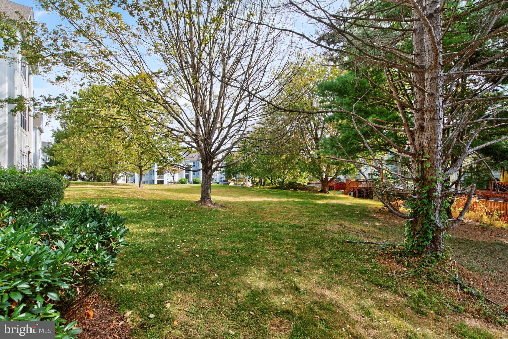14101 Valleyfield Drive, Unit 114 Silver Spring, MD 20906 - Photo 21 of 26 a view of backyard with large trees