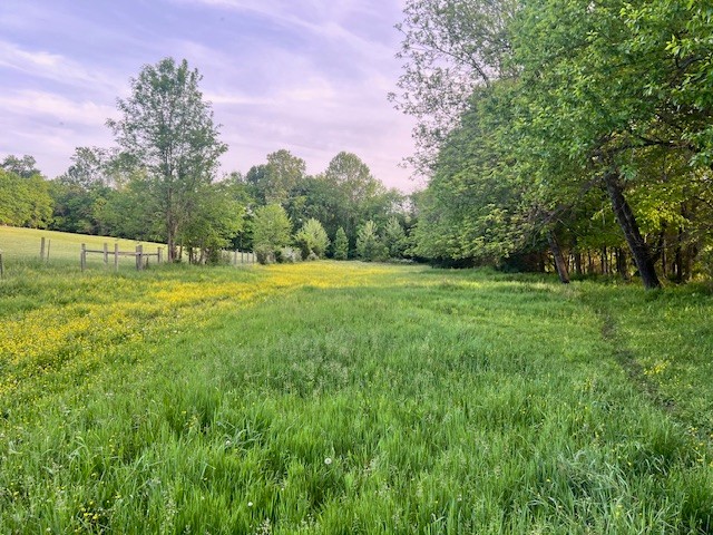 698 Clearview Road Cottontown, TN 37048 - Photo 22 of 23 a view of a field with grass and a trees