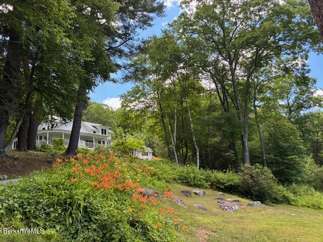 630 Main Road Monterey, MA 01245 - Photo 2 of 56 IMG_7388