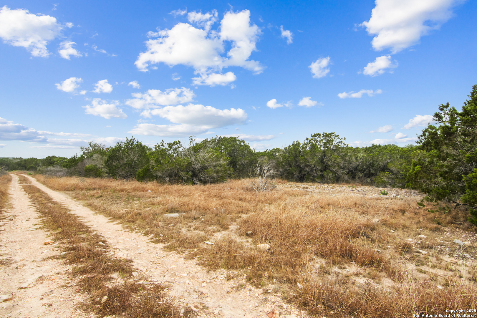 87 Mutt Road Brackettville, TX 78832 - Photo 11 of 20 a view of lake view and mountain view
