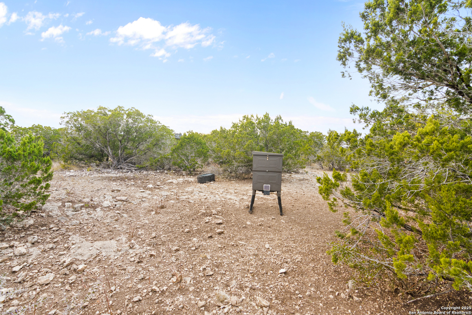 87 Mutt Road Brackettville, TX 78832 - Photo 13 of 20 a view of a backyard