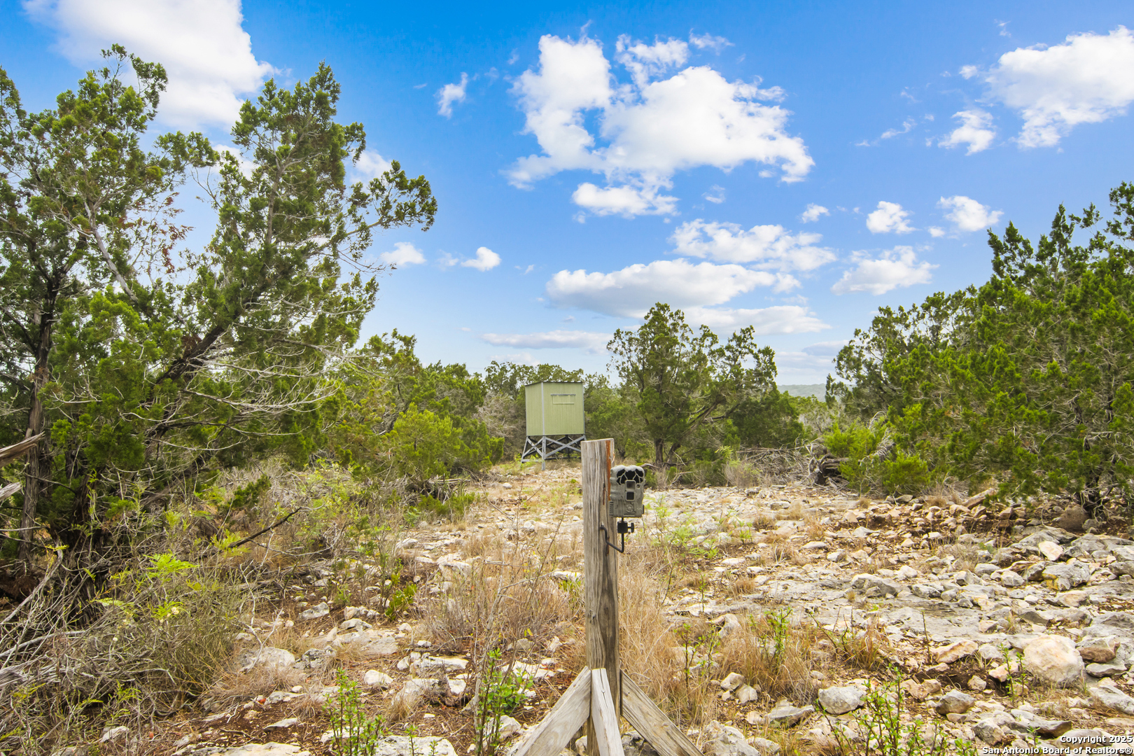 87 Mutt Road Brackettville, TX 78832 - Photo 6 of 20 a view of a yard with yellow lighting