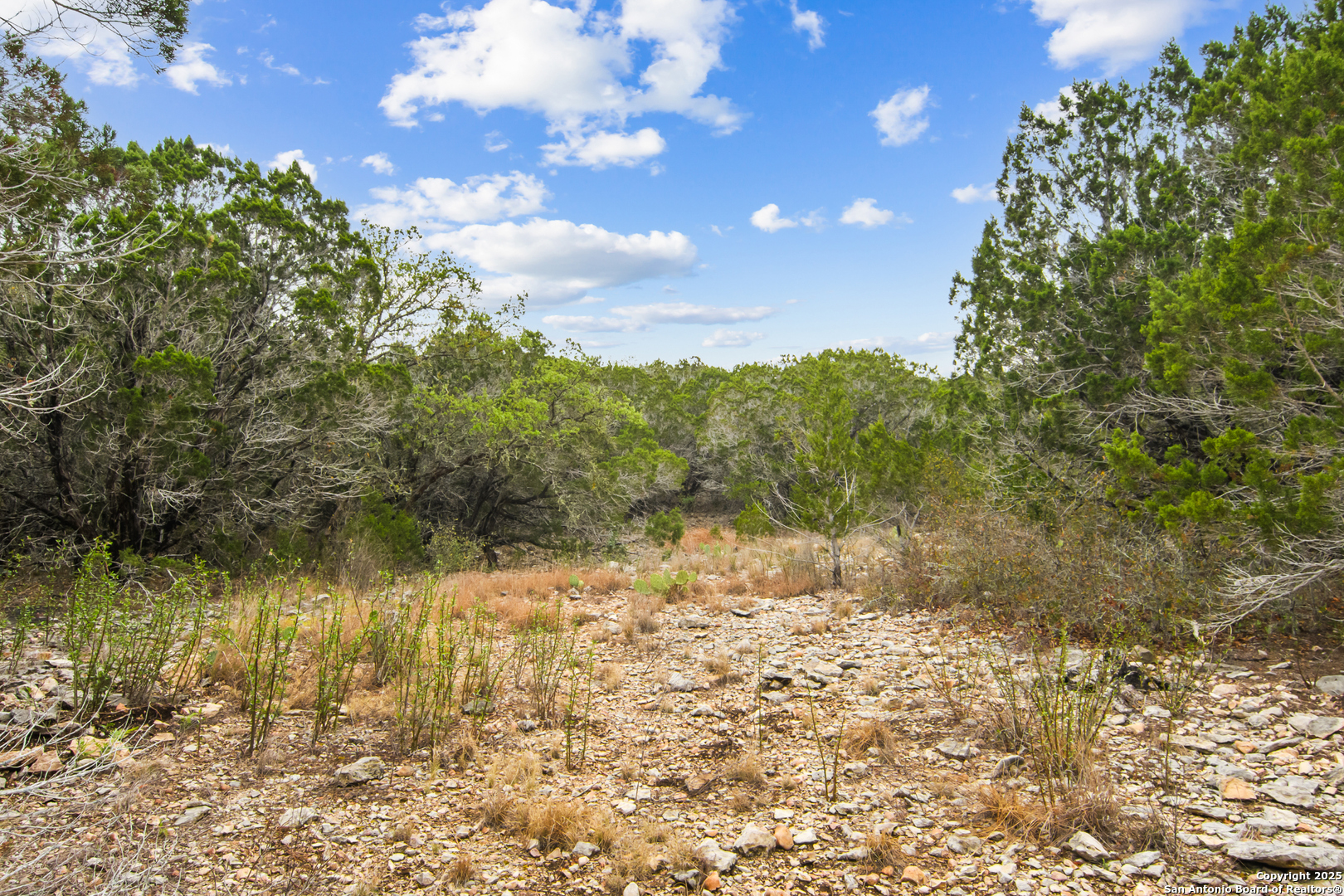 87 Mutt Road Brackettville, TX 78832 - Photo 7 of 20 a view of lake view and mountain view