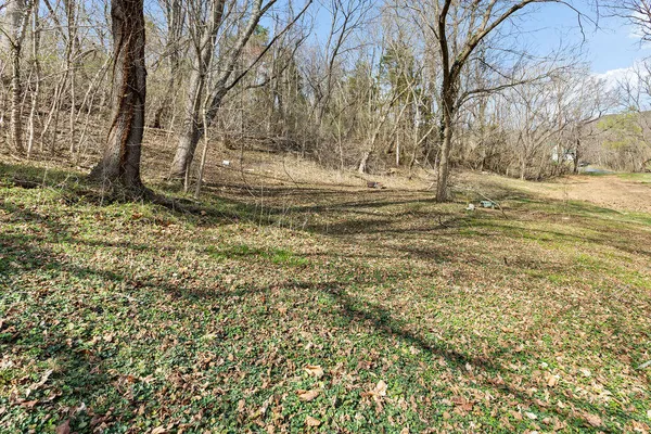 $220,000 | 121 Branch Road, Eagle Rock, VA 24085