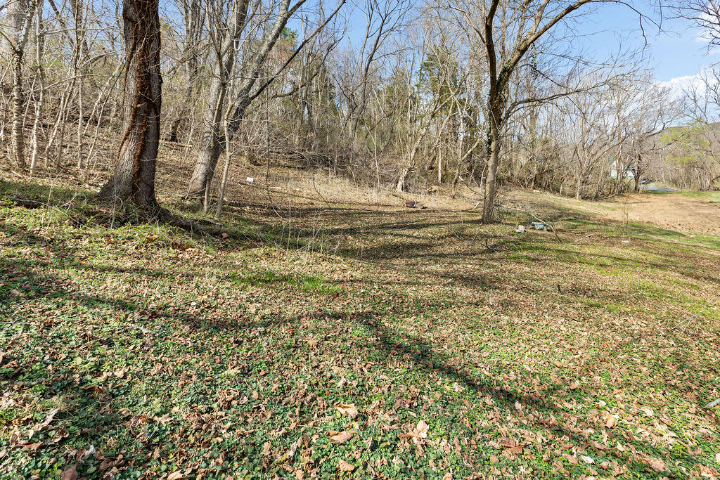 121 Branch Road Eagle Rock, VA 24085 - Photo 11 of 36 _80A6927