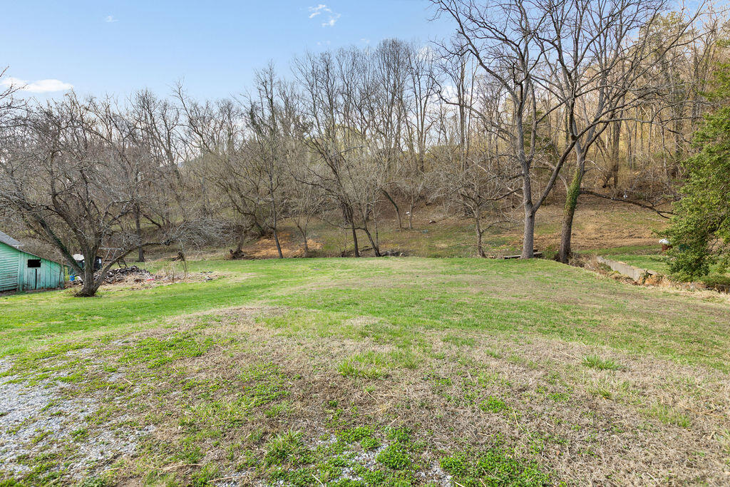 121 Branch Road Eagle Rock, VA 24085 - Photo 7 of 36 _80A6909