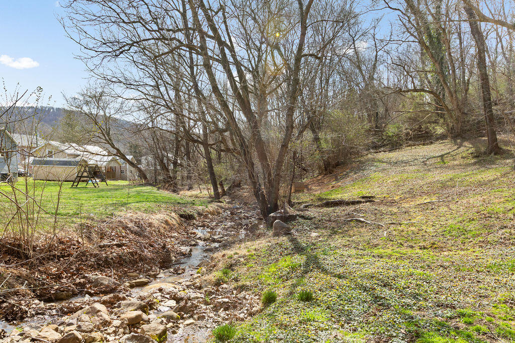 121 Branch Road Eagle Rock, VA 24085 - Photo 10 of 36 _80A6924