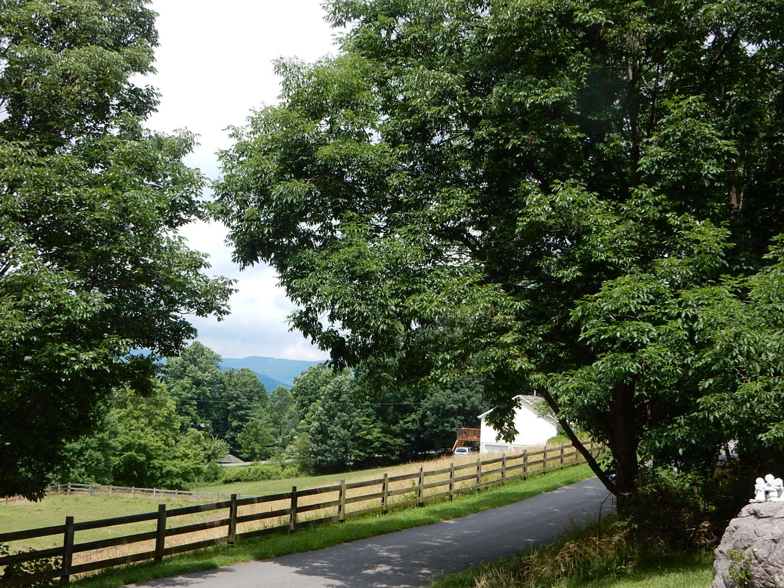 6734 Shingle Ridge Road Roanoke, VA 24018 - Photo 18 of 25 DSCN7454
