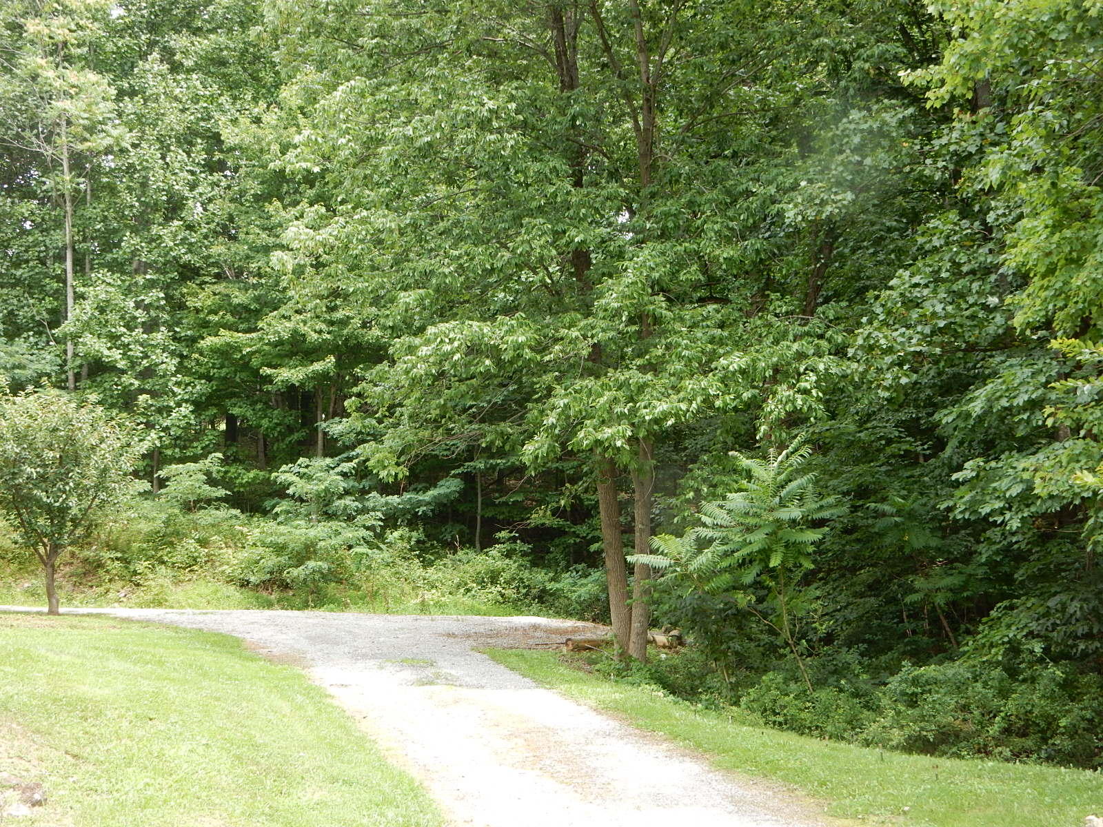 6734 Shingle Ridge Road Roanoke, VA 24018 - Photo 22 of 25 006