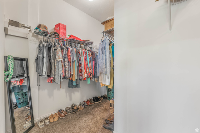 569 Elk Meadow Loop Tooele, UT 84074 - Photo 40 of 56 Walk in closet featuring carpet