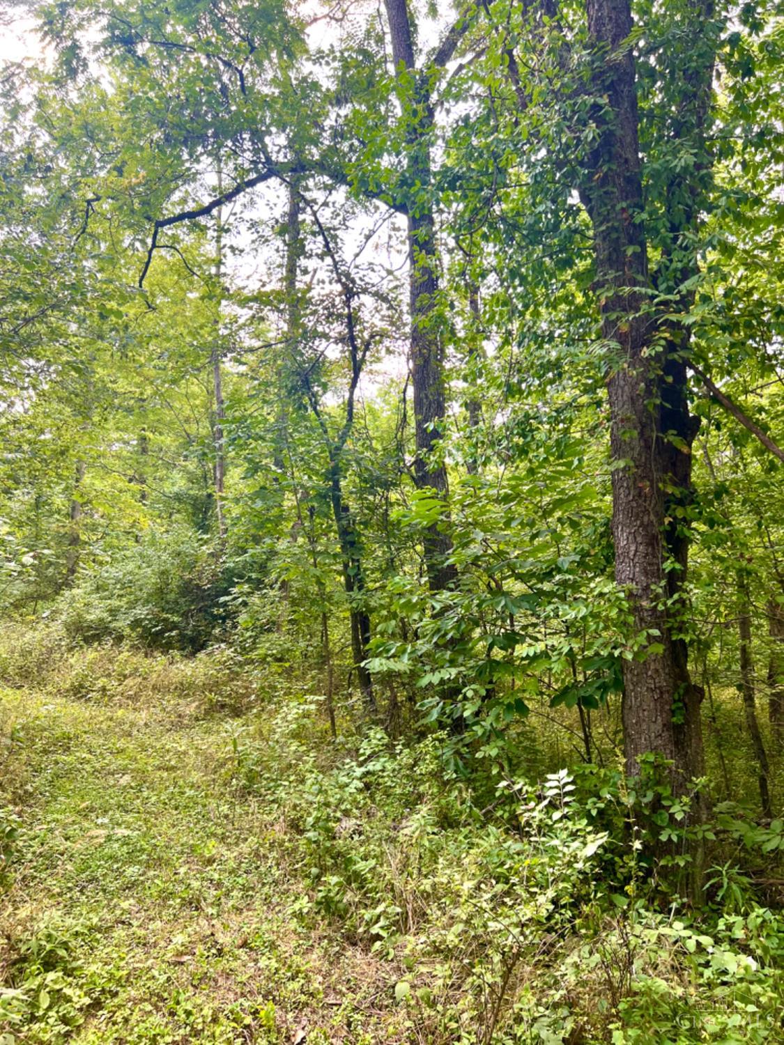 0 Brier Ridge Road West Union, OH 45693 - Photo 97 of 98