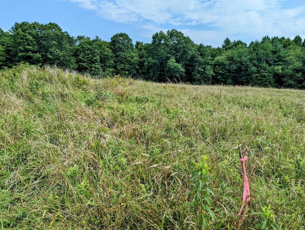 Five Camp Five Road Willis, VA 24380 - Photo 7 of 9 Gallery Image 7