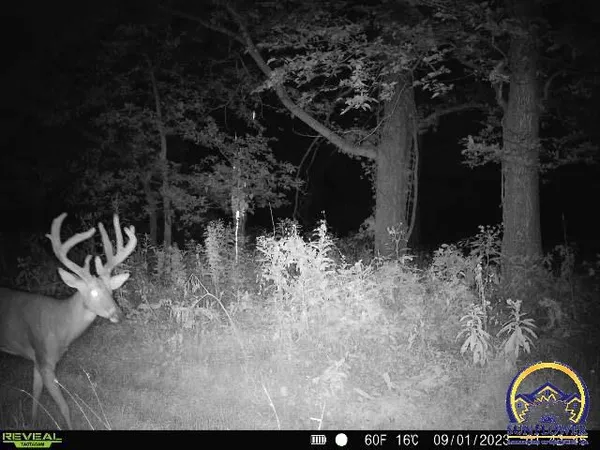 $1,400,000 | 9335 Northwest 66th Street, Silver Lake, KS 66539