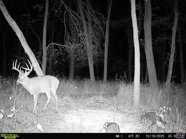 $744,250 | 9335 Northwest 66th Street, Silver Lake, KS 66539