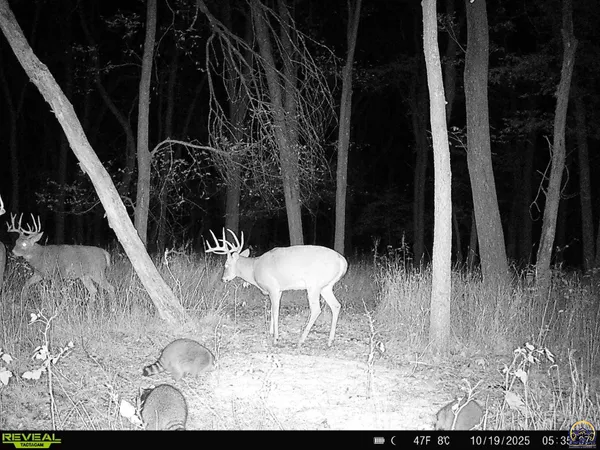 $1,400,000 | 9335 Northwest 66th Street, Silver Lake, KS 66539