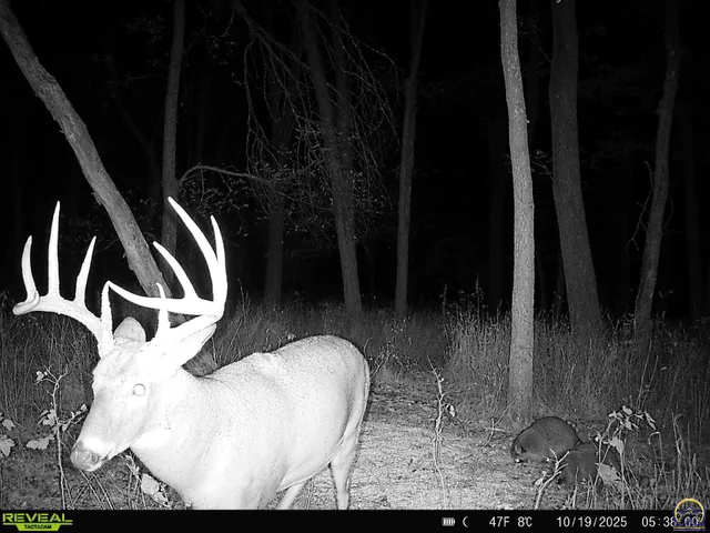 $744,250 | 9335 Northwest 66th Street, Silver Lake, KS 66539