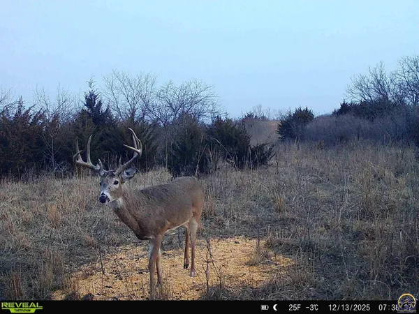 $1,400,000 | 9335 Northwest 66th Street, Silver Lake, KS 66539