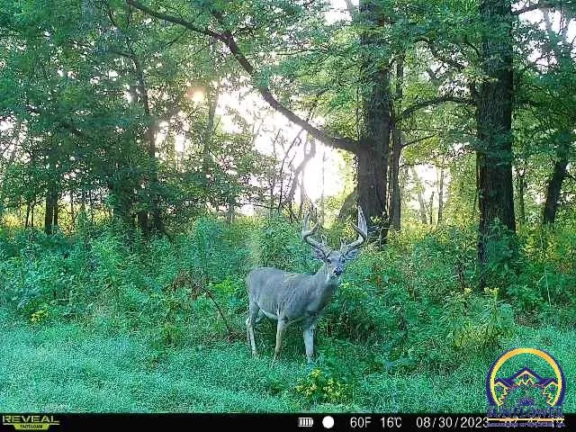 $744,250 | 9335 Northwest 66th Street, Silver Lake, KS 66539