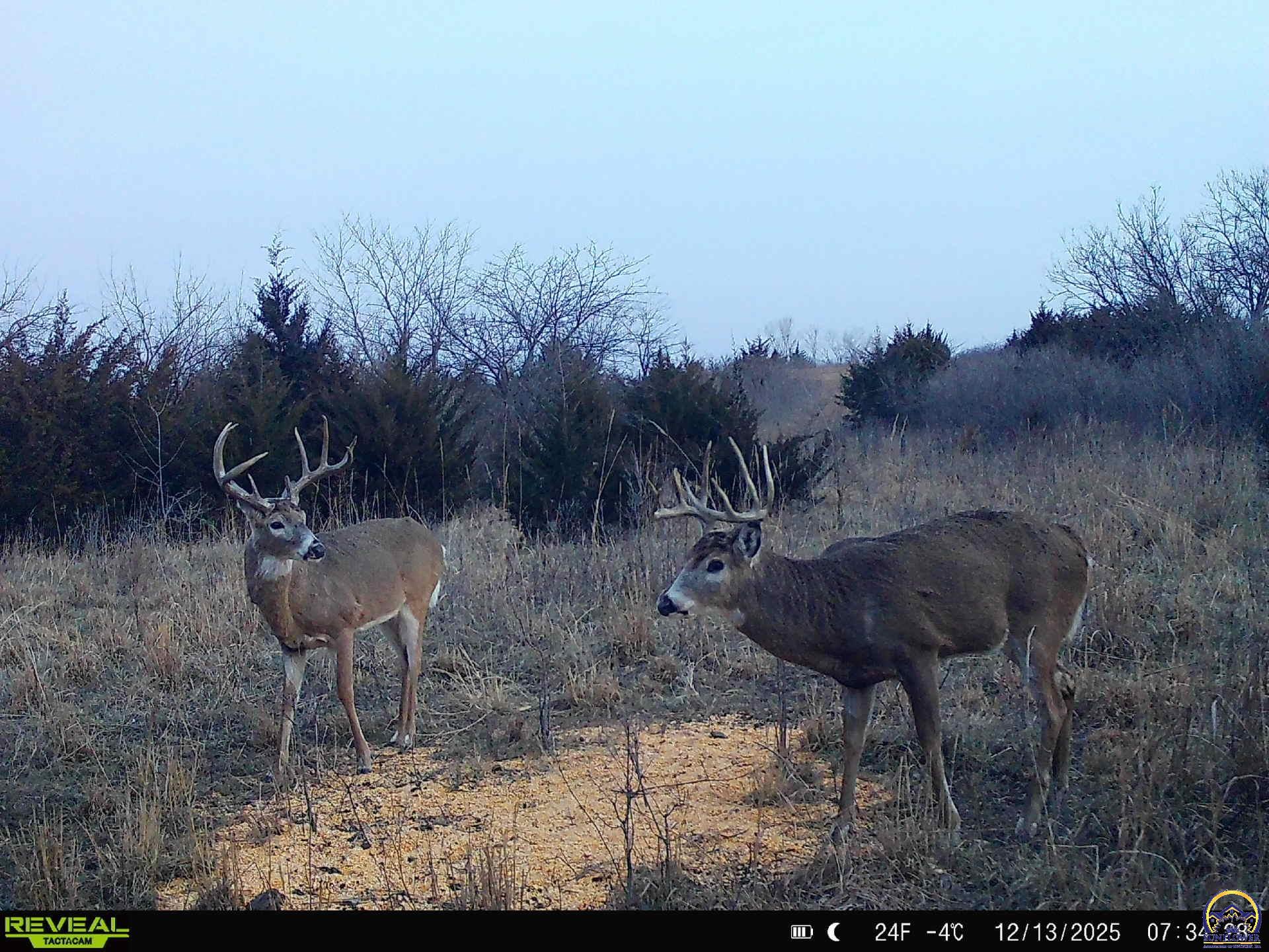 9335 Northwest 66th Street Silver Lake, KS 66539 - Photo 75 of 87
