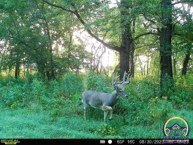 $744,250 | 9335 Northwest 66th Street, Silver Lake, KS 66539