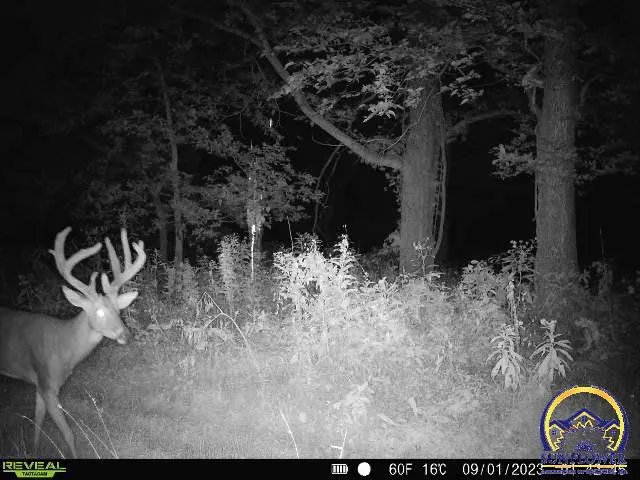 $1,400,000 | 9335 Northwest 66th Street, Silver Lake, KS 66539