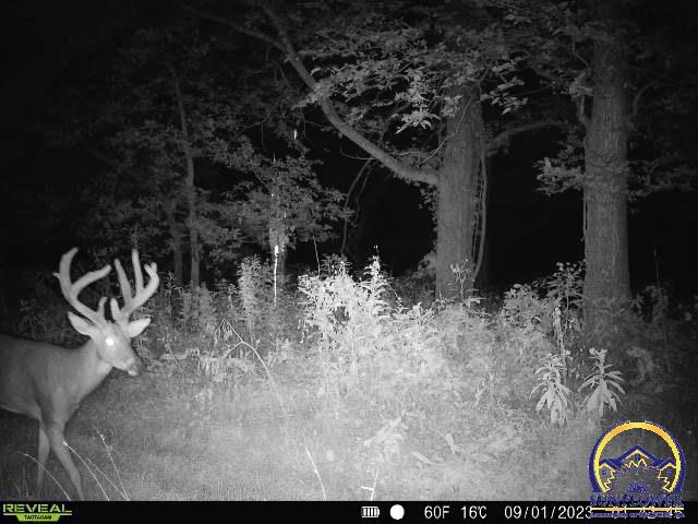 9335 Northwest 66th Street Silver Lake, KS 66539 - Photo 76 of 87