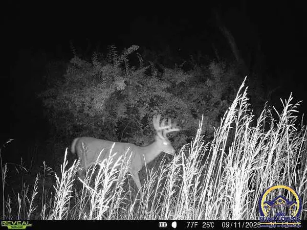 $1,400,000 | 9335 Northwest 66th Street, Silver Lake, KS 66539