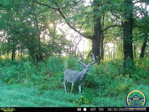 $1,400,000 | 9335 Northwest 66th Street, Silver Lake, KS 66539