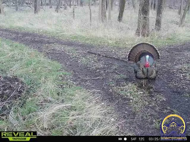 $744,250 | 9335 Northwest 66th Street, Silver Lake, KS 66539