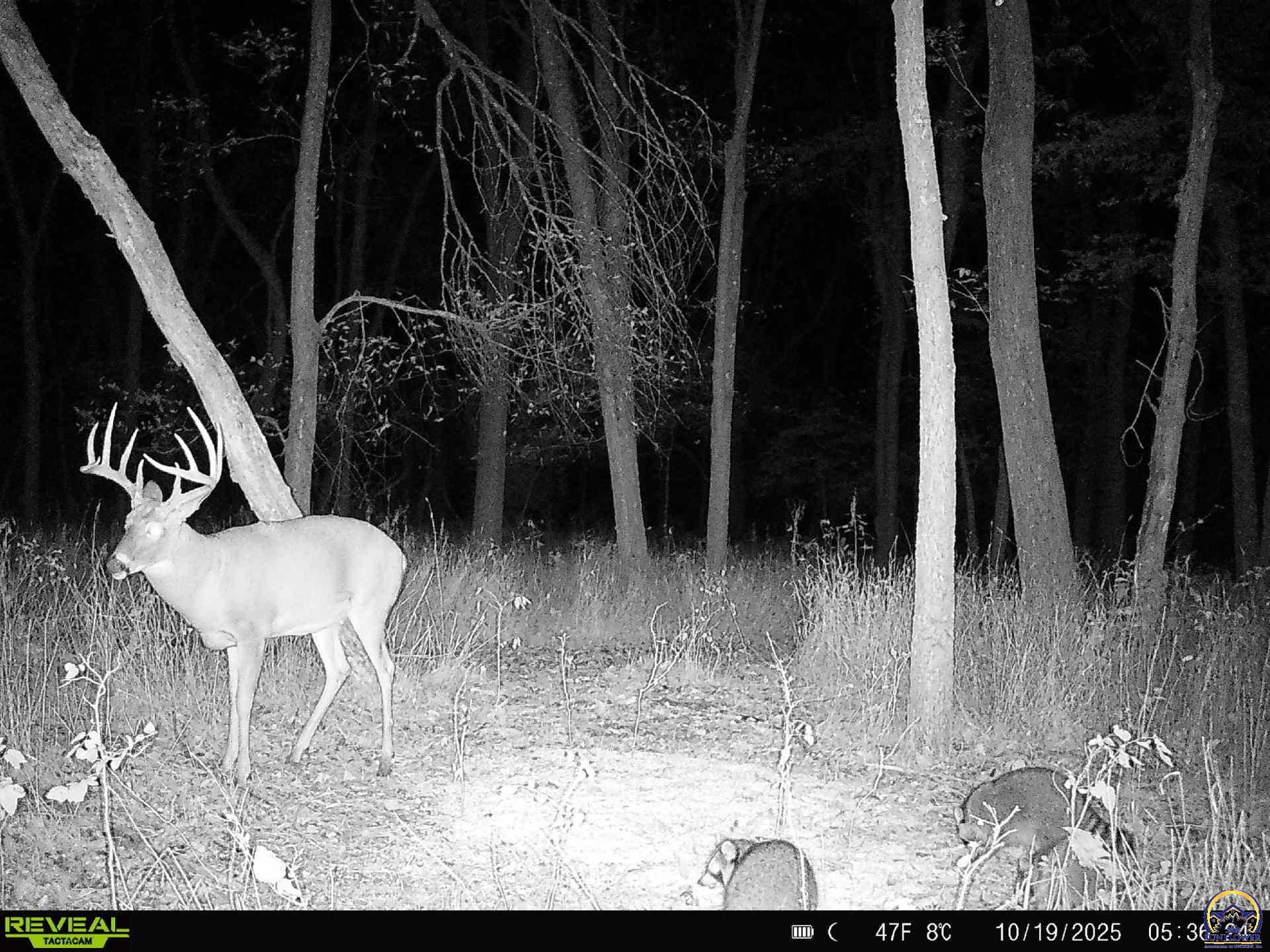 9335 Northwest 66th Street Silver Lake, KS 66539 - Photo 78 of 87