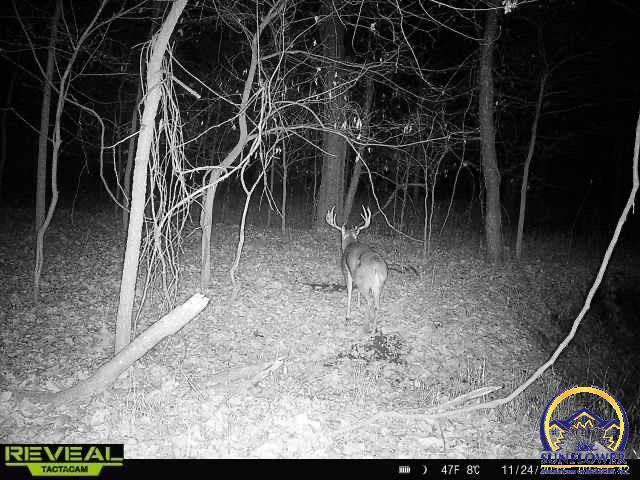 9335 Northwest 66th Street Silver Lake, KS 66539 - Photo 80 of 87