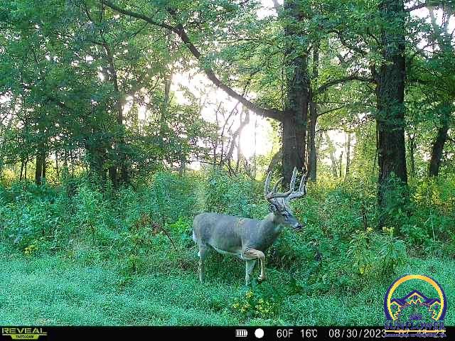 9335 Northwest 66th Street Silver Lake, KS 66539 - Photo 83 of 87