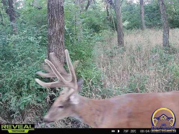 $1,400,000 | 9335 Northwest 66th Street, Silver Lake, KS 66539