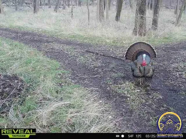 $1,400,000 | 9335 Northwest 66th Street, Silver Lake, KS 66539