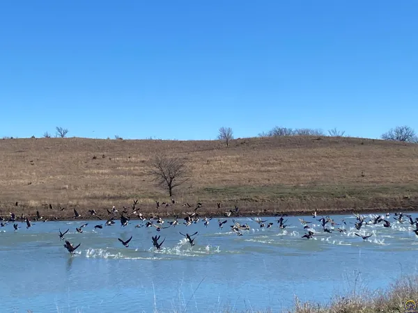 $1,400,000 | 9335 Northwest 66th Street, Silver Lake, KS 66539