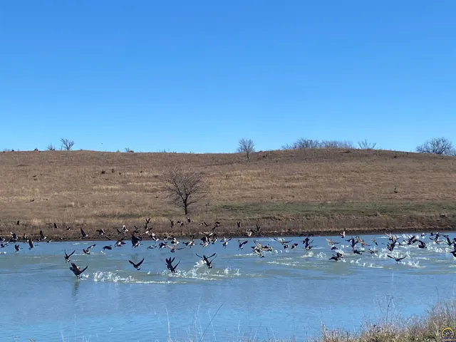 $1,400,000 | 9335 Northwest 66th Street, Silver Lake, KS 66539