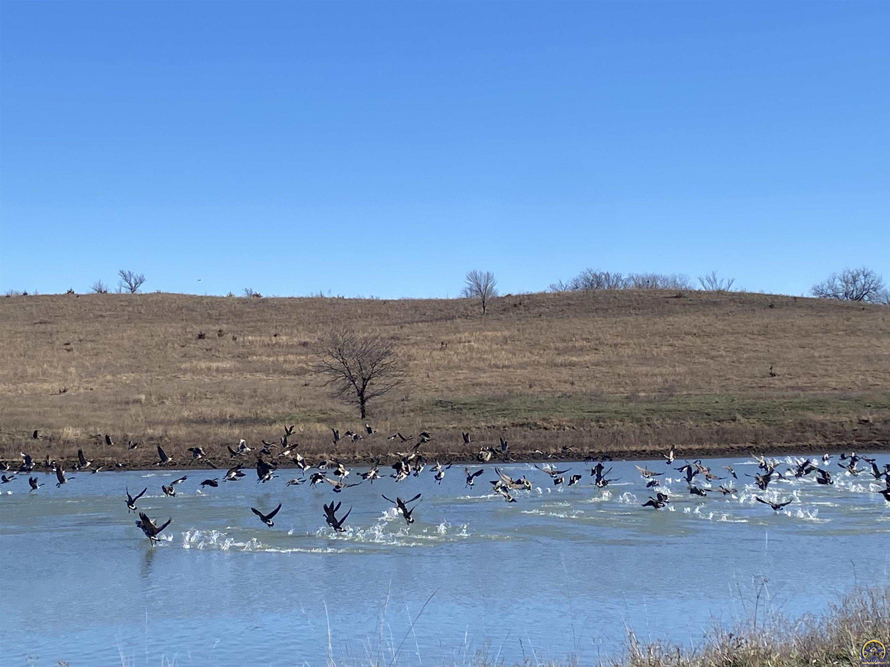 9335 Northwest 66th Street Silver Lake, KS 66539 - Photo 86 of 87
