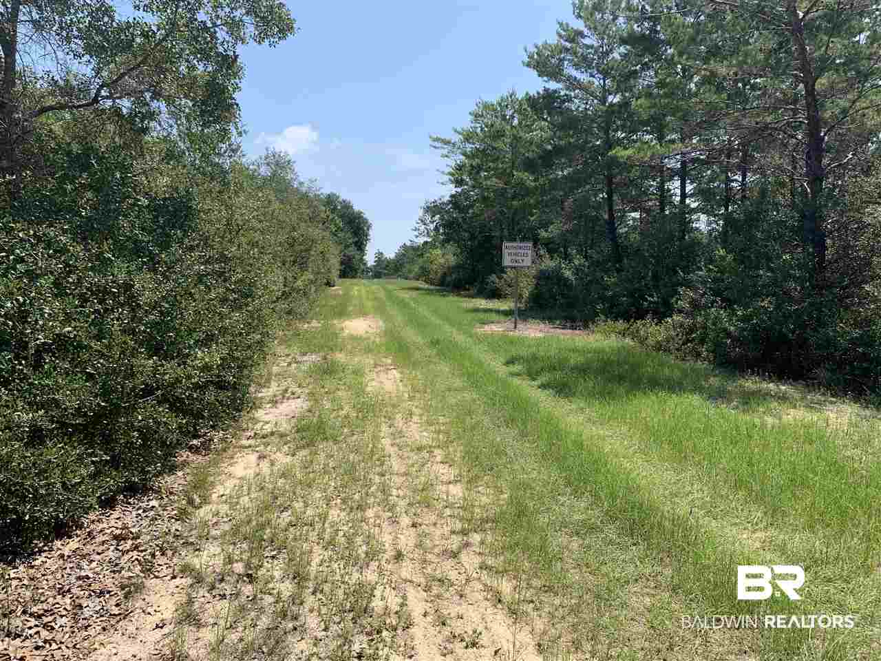 25196 Oak Ridge Loop Orange Beach, AL 36561 - Photo 18 of 19