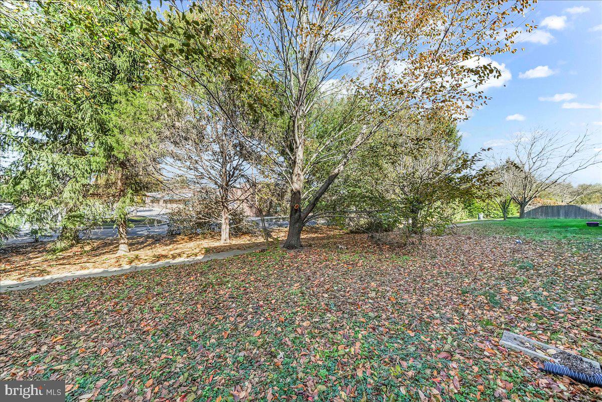 103 Bonnybrook Road Middletown, DE 19709 - Photo 27 of 32 a view of a yard with plants and trees