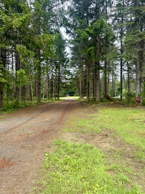 1337 East Plantation Road Blaine, ME 04734 - Photo 2 of 43 IMG_1054