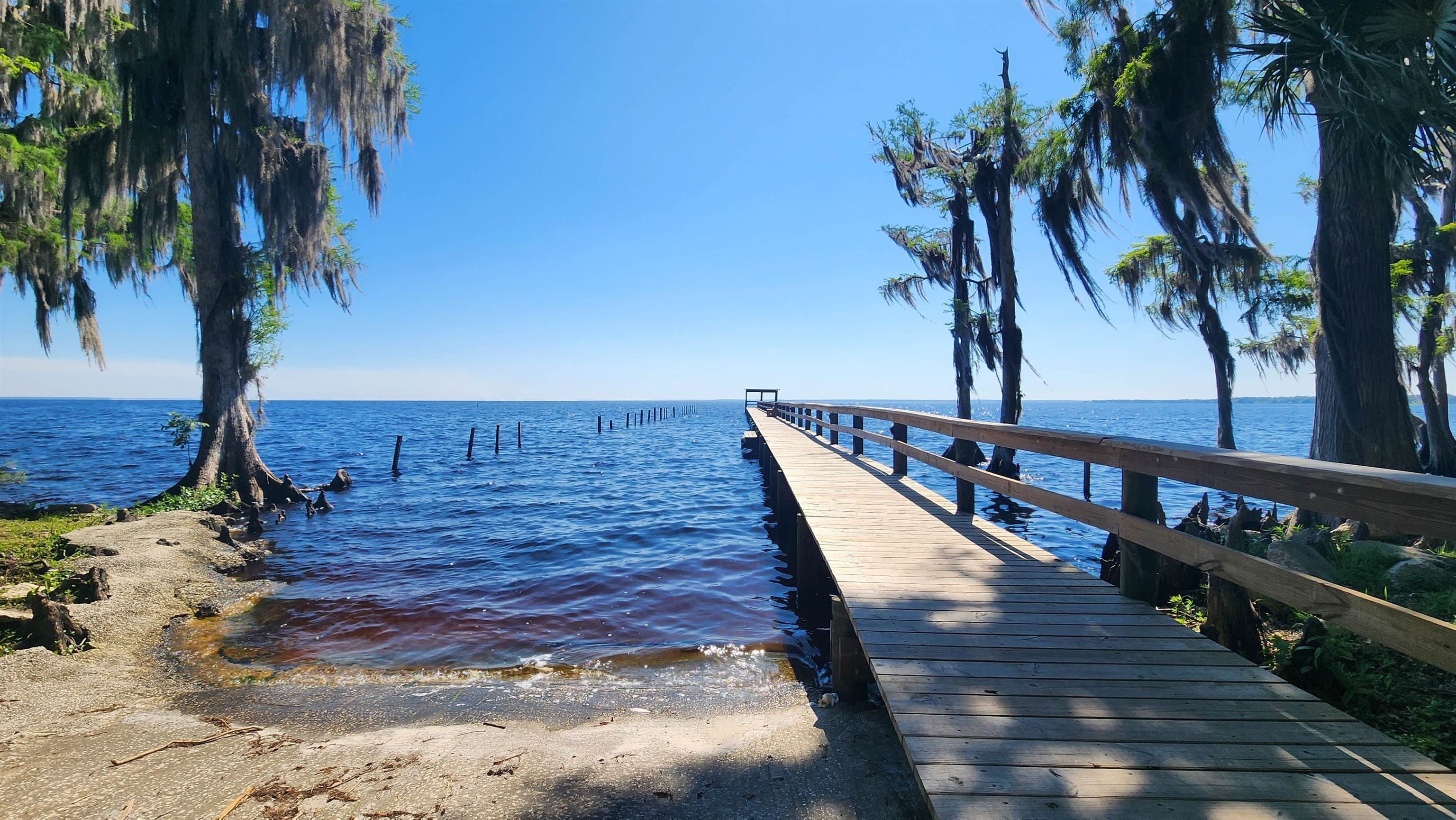 112 Northeast Terrace Georgetown, FL 32139 - Photo 2 of 6 a view of wooden floor with a lake