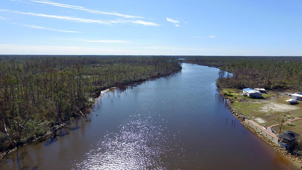 Lot 6 Borders Road Wewahitchka, FL 32465 - Photo 4 of 9