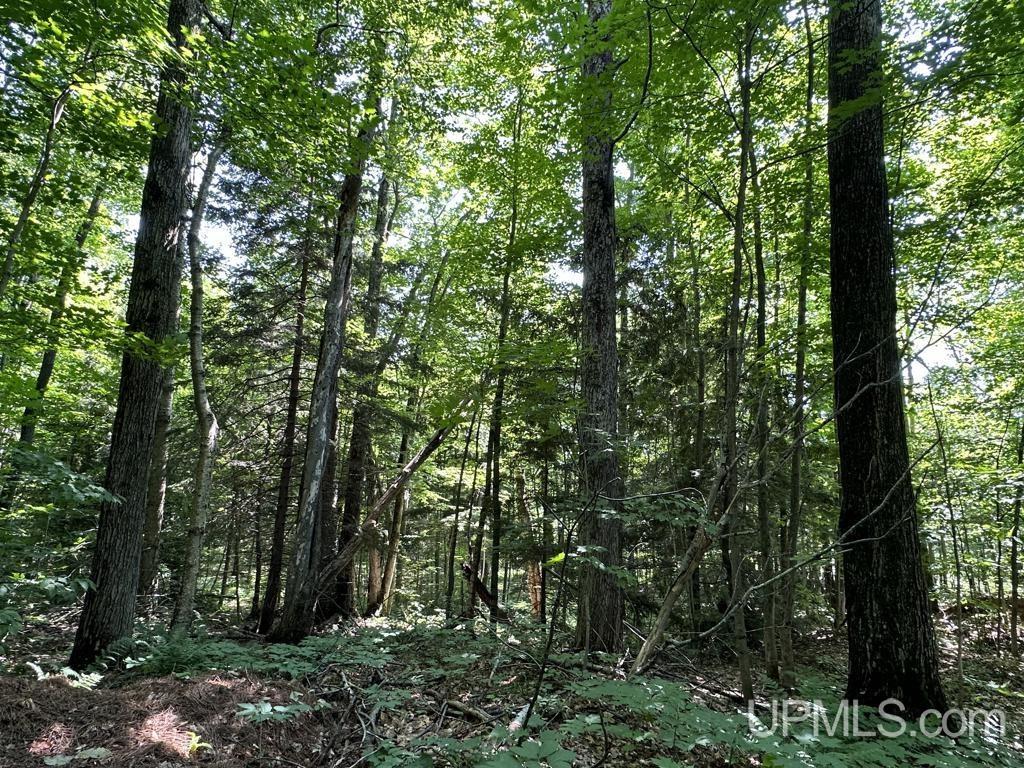 0 Cemetery Road Munising, MI 49862 - Photo 28 of 34 Gallery Image 28