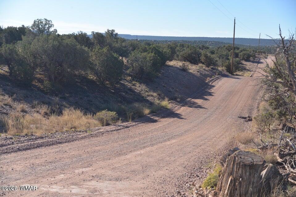 4389 South Sorrel Snowflake, AZ 85937 - Photo 2 of 5 APS Power Poles near property