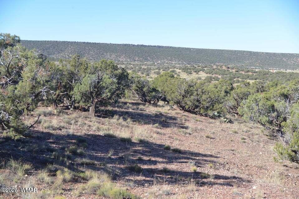 4389 South Sorrel Snowflake, AZ 85937 - Photo 4 of 5 This property has beautiful views of and rolling hills